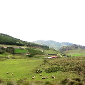 Viaje, Perú, Turismo, Sudamérica