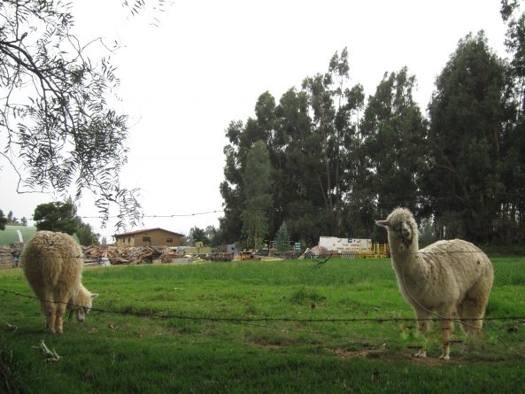 Viaje, Perú, Turismo, Sudamérica